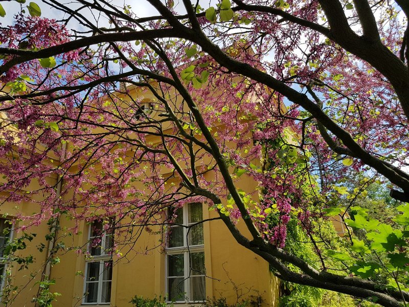 Schloss Sansousie Park 2019