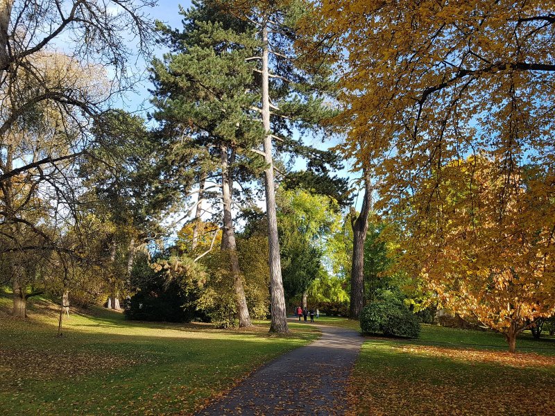 Botanischer Garten Hohenheim - 2021
