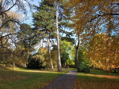 Botanischer Garten Hohenheim - 2021