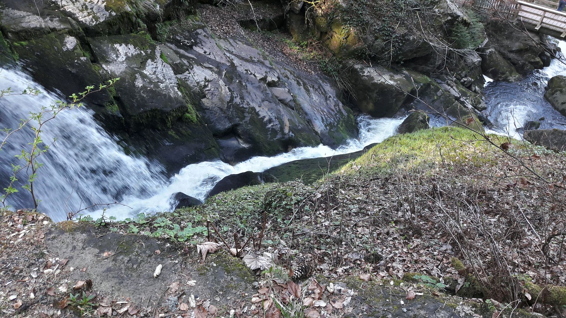 Triberger Wasserfall - 2017