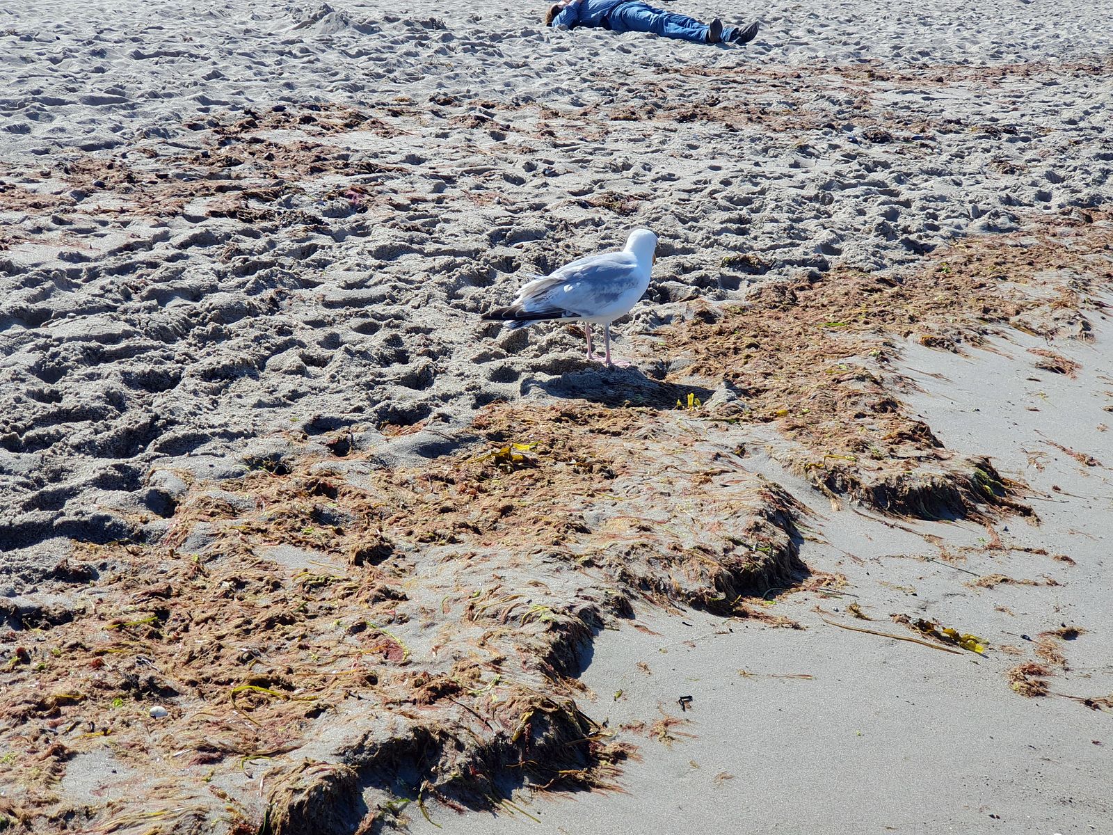 Timmendorfer Strand