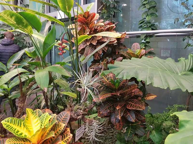 Schokoladenmuseum Köln