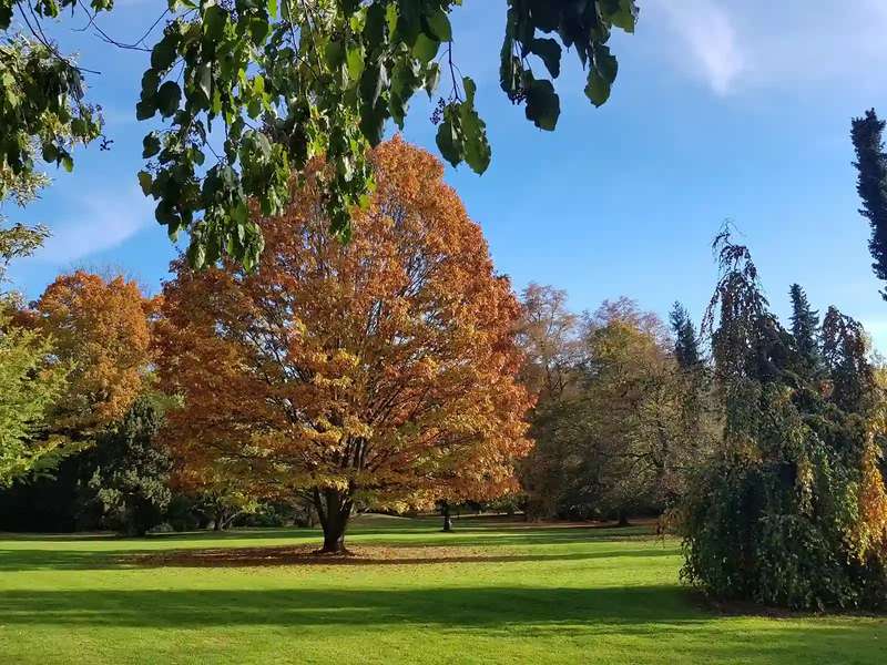 Botanischer Garten Hohenheim