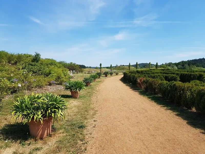 Schlosspark Dennenlohe