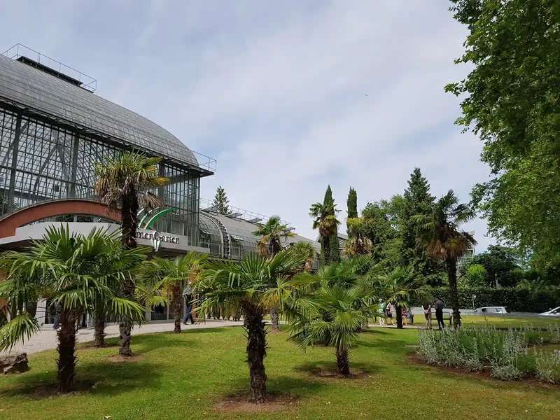 Frankfurt - Palmengarten