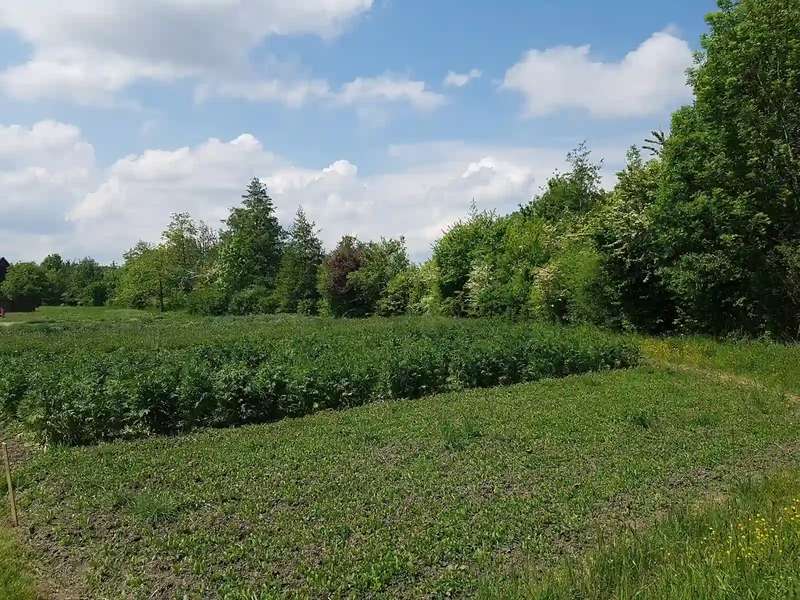 Freilandmuseum Bad Windsheim (2018)