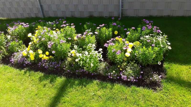 Gartenschau Kaiserslautern (2017)