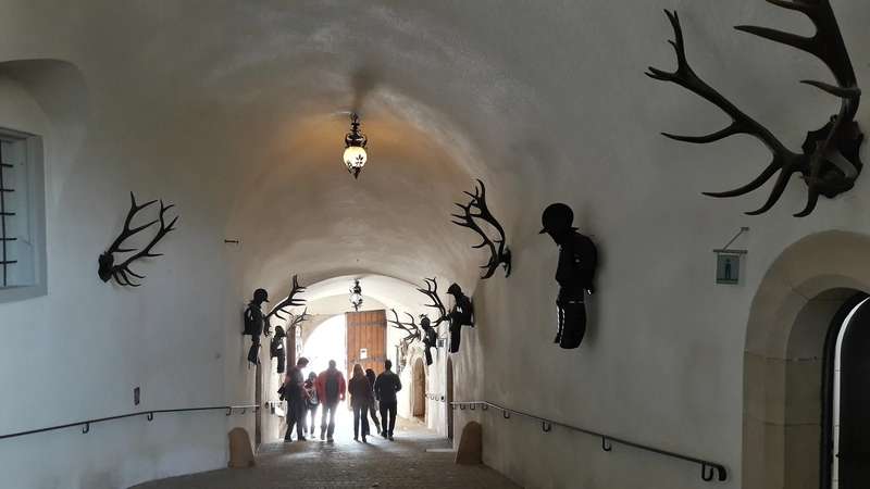 Schloss Sigmaringen (2017)