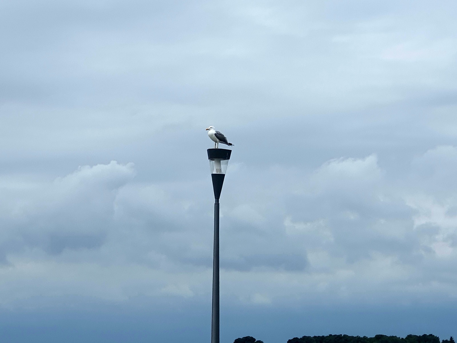 Fotografie