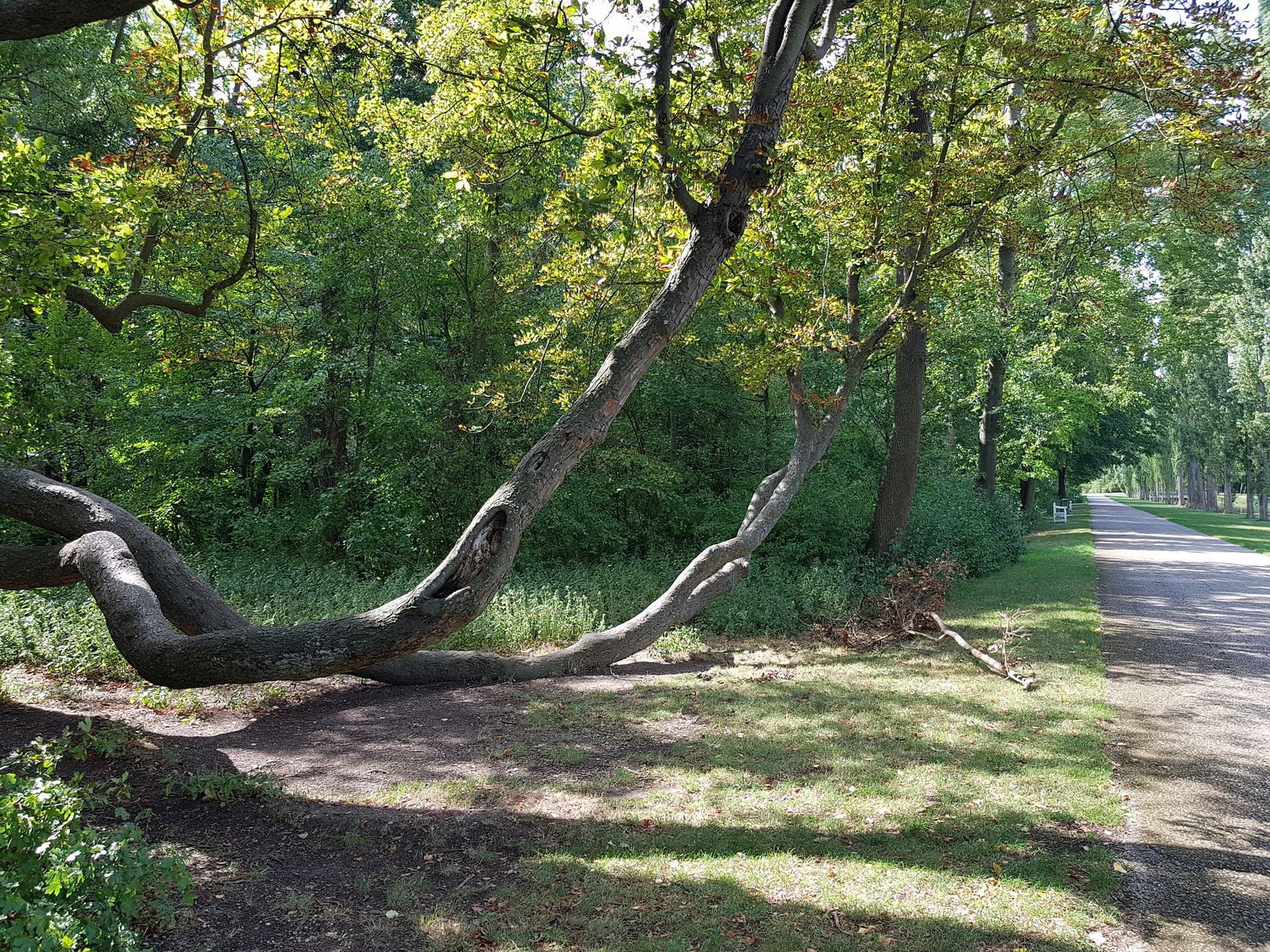 Schlosspark_Laxenburg_20220912_121426.jpg