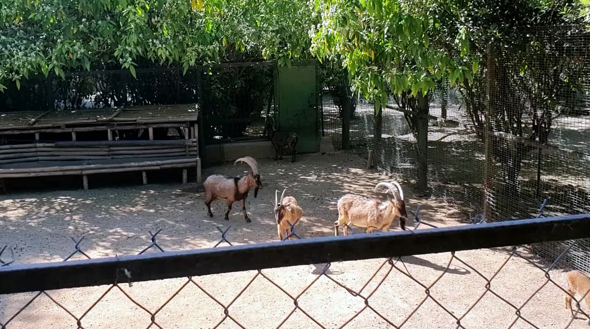 national-garden-4.mp4