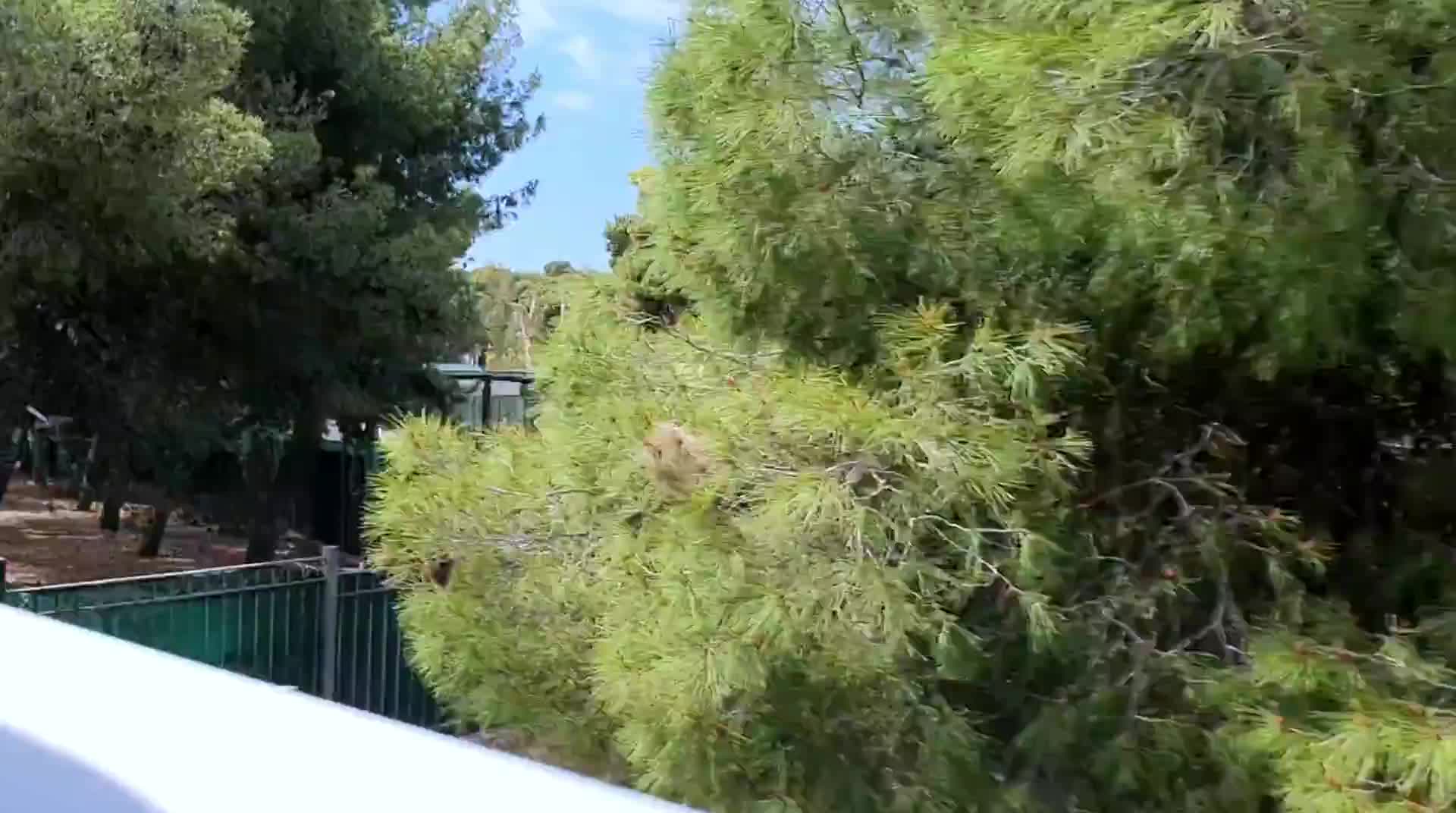 edem-riviera-busfahrt_006.mp4