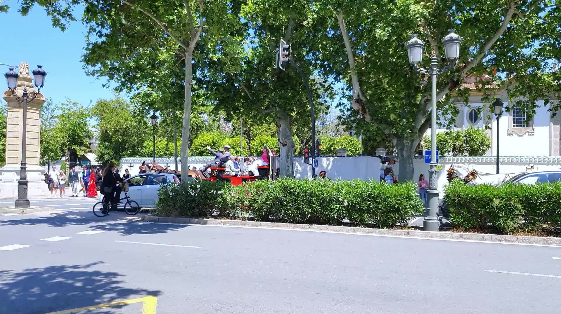 VID_20250506_133319.mp4