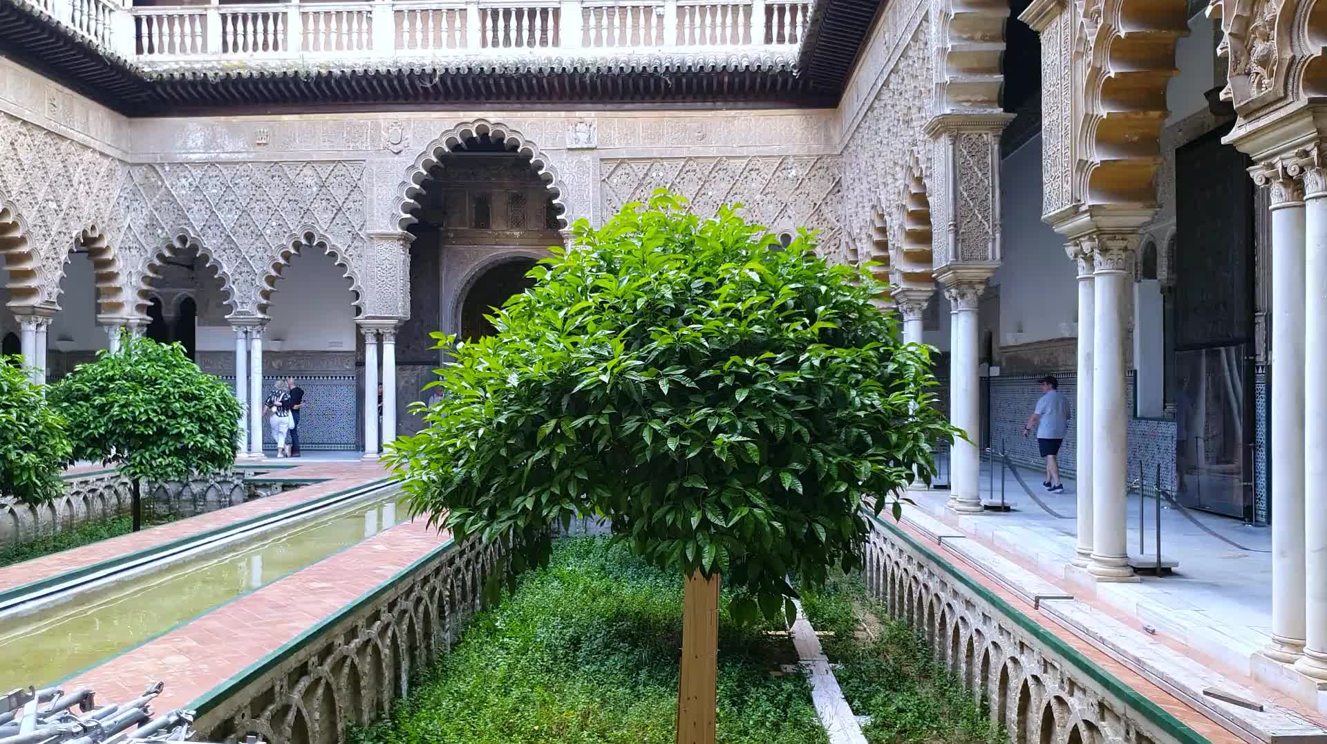 VID_20250506_171748.mp4