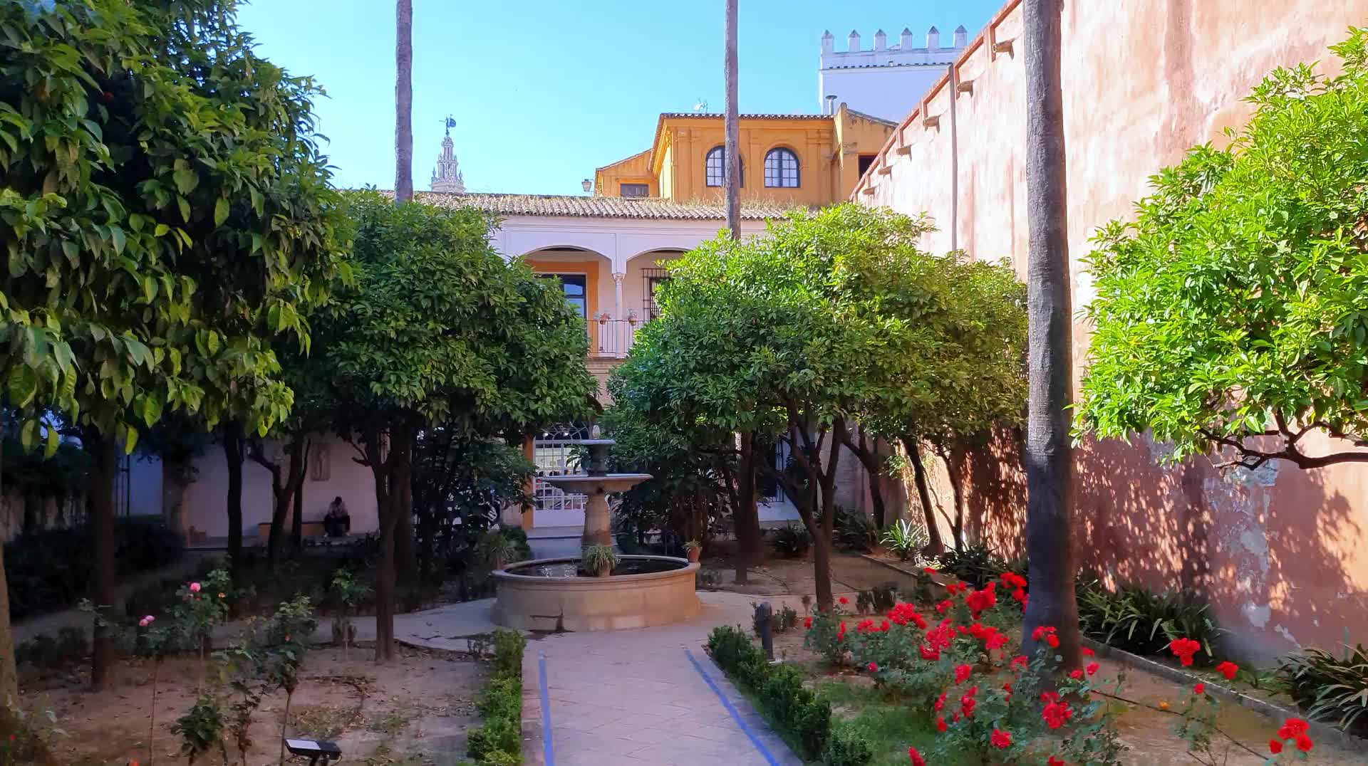 VID_20250506_183421.mp4